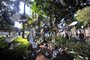  CAXIAS DO SUL, RS, BRASIL 07/05/2018Pombos que habitam a Praça Dante Alighieri no centro da cidade de Caxias do Sul. (Felipe Nyland/Agência RBS)