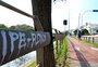 A polêmica do pichador erudito: rabiscar o nome das árvores é vandalismo ou informação?