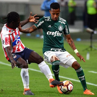 Tche Tche (R) of Brazils Palmeiras, vies for the ball with Yimmi Chara of Colombias Junior, during their 2018 Copa Libertadores football match held at the Allianz Parque stadium, in Sao Paulo, Brazil, on May 16, 2018. / AFP PHOTO / NELSON ALMEIDA