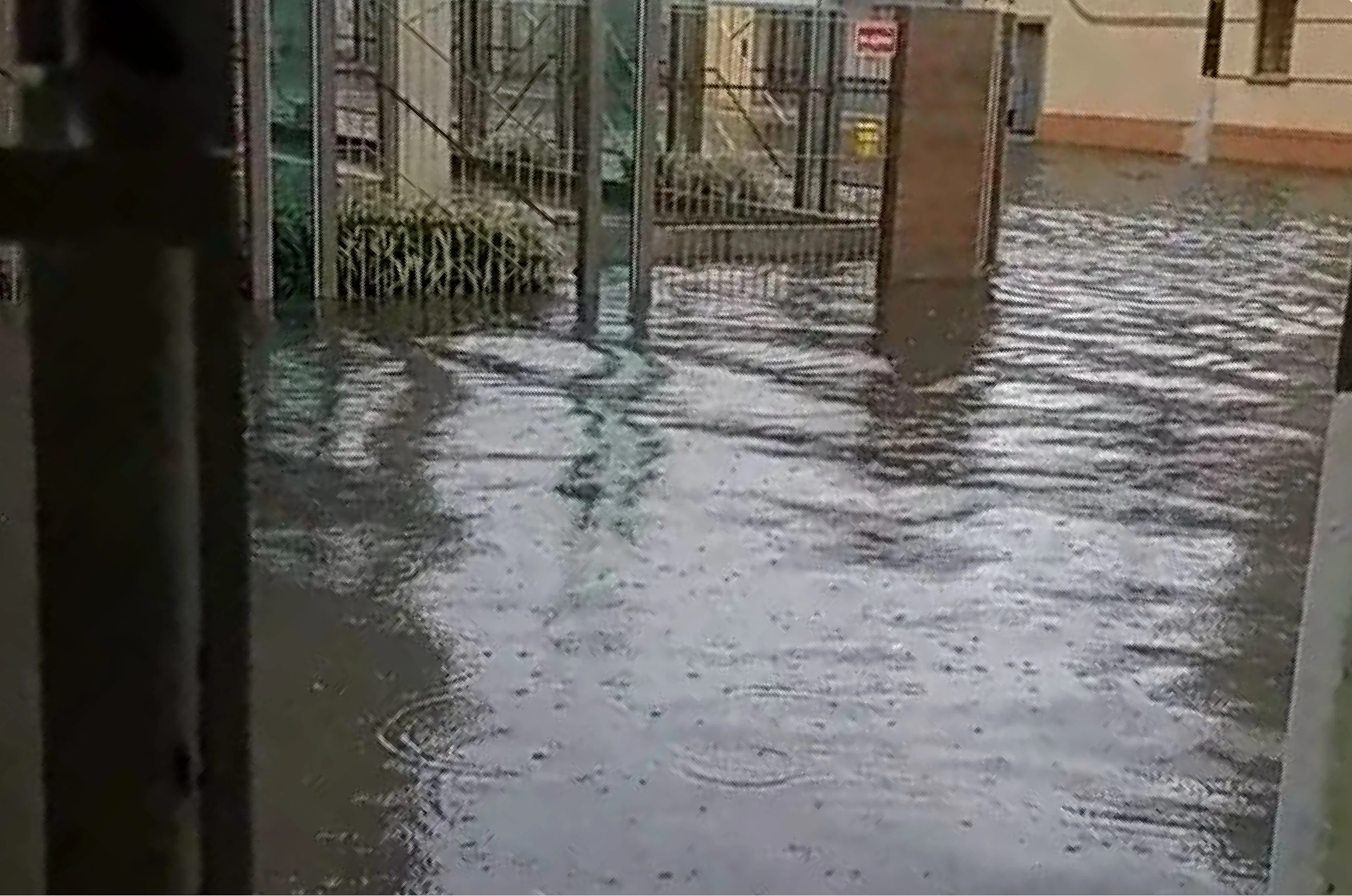 Arquivo Pessoal/Leitor/DG