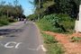 Sem corte há 10 anos, matagal causa acidentes perto de escolas em Sapucaia do Sul