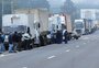 Gisele Loeblein: greve dos caminhoneiros aprofunda crise da indústria de carnes