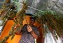 Maconha no Uruguai: gaúcho Henrique virou "o youtuber da legalização"