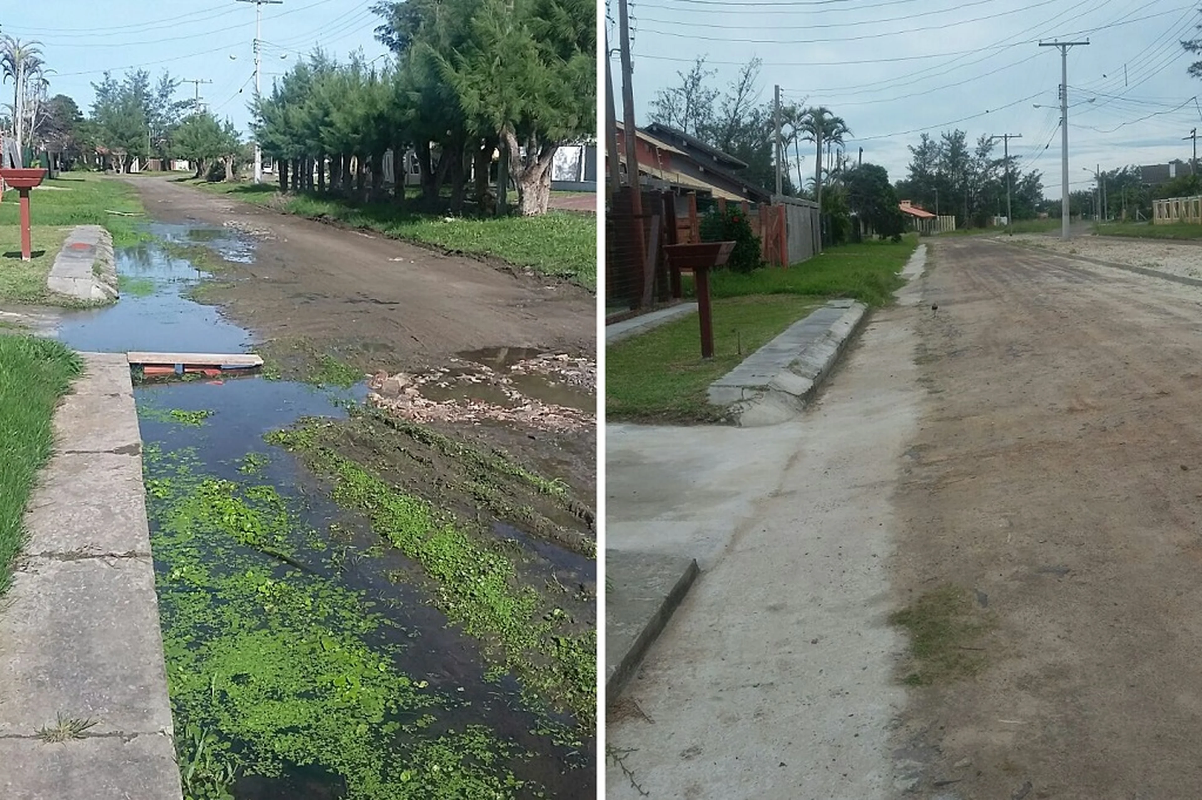 Arquivo Pessoal/Leitor/DG