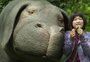 Para curtir do sofá: veja 10 filmes que estrearam direto na Netflix