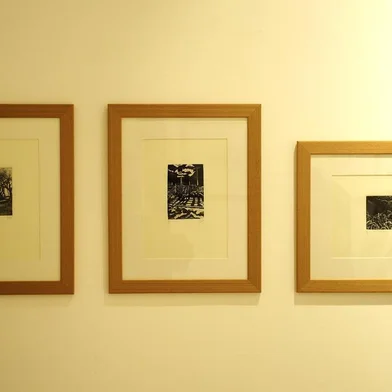 CAXIAS DO SUL, RS, BRASIL, 10/05/2018. Exposição Semelhanças e Dessemelhanças abre hoje, em Caxias do Sul, no Centro de Cultura Dr. Henrique Ordovás Filho. (Diogo Sallaberry/Agência RBS)