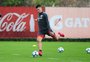 Fabiano se recupera e só Victor Cuesta desfalcará Inter contra o Paraná