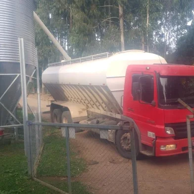 Após dois dias de desabastecimento, chega carga de ração animal em propriedade da família Sirtoli, na terceira légua, de Caxias do Sul. 