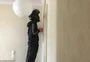 Sozinha em casa, jovem pede telentrega de lanche para que entregador mate aranha