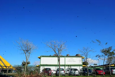  CAXIAS DO SUL, RS, BRASIL, 16/08/2017 - O Brasil é o terceiro país no ranking de evasão escolar mundial. Um a cada quatro alunos que inicia o ensino fundamental abandona a escola antes de completar a última série no país. No Estado, são 53.391 alunos infrequentes ou evadidas da sala de aula. A evasão escolar de Caxias do Sul está acima das médias nacional e estadual. Neste ano, 2.125 crianças já se mostraram infrequentes ou abandonaram a escola. A maior causa de evasão é o desinteresse pela escola.Também há alunos que abandonam o colégio por gravidez ou paternidade, busca por emprego, falta de condições financeiras ou negligência familiar. NA FOTO: Escola Municipal CAIC - Dolaimes Stedile Angeli. (Marcelo Casagrande/Agência RBS)