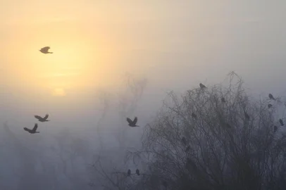  Amanhecer em Bagé nesta sexta-feira (15/6)