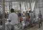 Avó e neto autista brasileiros estão entre imigrantes separados nos EUA

