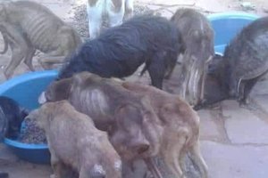 Ana Paula Schmitt / Arquivo Pessoal