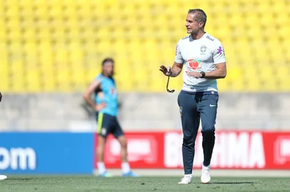 sylvinho, seleção brasileira