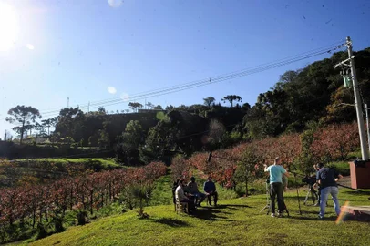  CAXIAS DO SUL, RS, BRASIL, 12/06/2018 - Bastidores da gravação do segundo programa Bodega do Bachi, que tem produção tem parceria do jornal Pioneiro, rádio Gaúcha Serra e RBS TV. A gravação ocorreu na Comunidade de São Bráz, interior de Caxias do Sul, e contou com a participação da torcedora grená Amanda Mazzochi e o ex-centroavante e ex-jogador do Caxias, Adão Fonseca. (Marcelo Casagrande/Agência RBS)