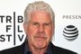 To Dust - Tribeca Film Festical 2018Ron Perlman attends a screening of To Dust during the 2018 Tribeca Film Festival at SVA Theatre on April 22, 2018 in New York City. / AFP PHOTO / ANGELA WEISSEditoria: ACELocal: New YorkIndexador: ANGELA WEISSSecao: cinemaFonte: AFPFotógrafo: STF