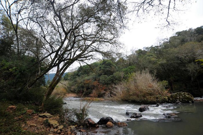 Felipe Nyland / Agencia RBS