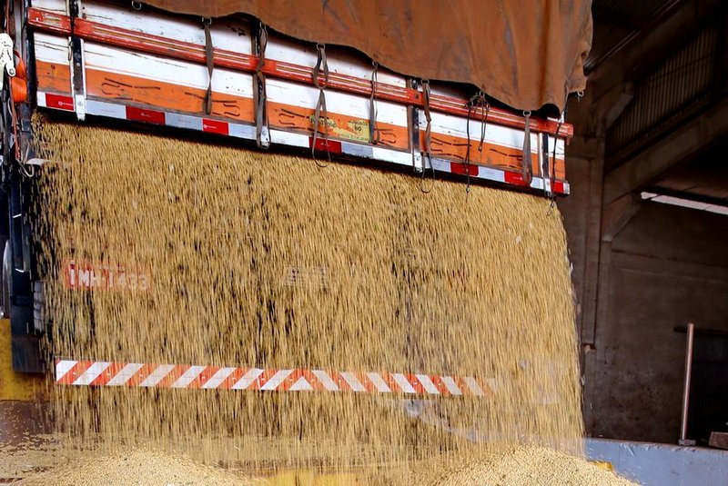  IBIRUBÁ- RS-BRASIL- 09/04/2017-  O Rio Grande do Sul está colhendo uma safra recorde de soja neste ano. O volume é tão grande que faltou espaço para armazenar tanto grão. Asituação foi agravada pelos altos estoques de trigo, e de milho e ainda pelo baixo percentual de venda da soja por causa do preço baixo. FOTO FERNANDO GOMES/ZERO HORA.