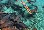 Fotos captam momento em que estudante é atacada por tubarão nas Bahamas