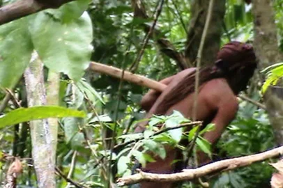 Último sobrevivente de tribo, índio do buraco vive isolado há 22 anos em mata de Rondônia