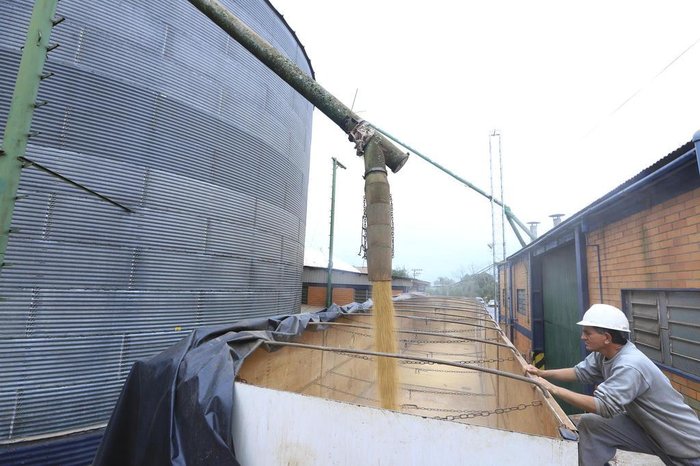 Isadora Neumann / Agencia RBS