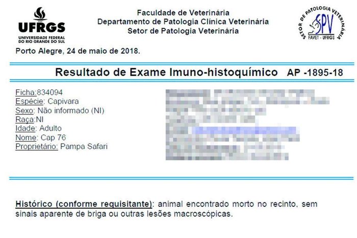 Reprodução / Reprodução