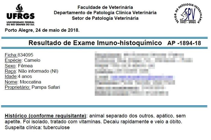 Reprodução / Reprodução