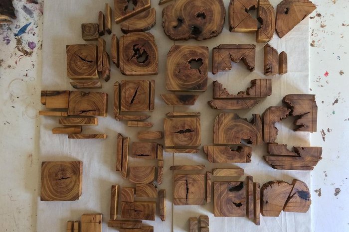 Fernando Bertolini / divulgação