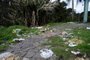 O Parque Ecológico Reino dos Orixás, no bairro Cruzeiro, era usado por para ritos de umbanda desde 2001. Em maio, a prefeitura solicitou a desocupação da área, que agora está abandonada e apresenta sinais de deterioração e acúmulo de lixo. (Marcelo Casagrande/Agência RBS)