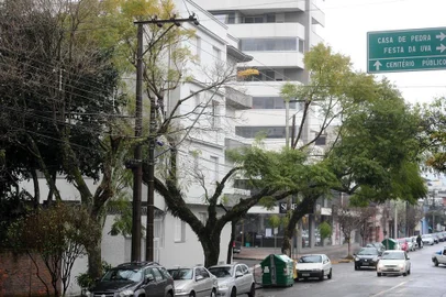  CAXIAS DO SUL, RS, BRASIL, 09/08/2018. Árvores, em especial Jacarandás, têm seu  miolo cortado para a agem de fios de luz, na Rua Ernesto Alves, entre as ruas Feijó Júnior e Coronel Flores. (Diogo Sallaberry/Agência RBS)