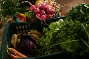 Carlos Macedo / Agencia RBS