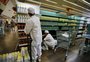 Especialistas dão 10 dicas para economizar no supermercado