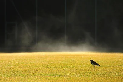  CAXIAS DO SUL, RS, BRASIL, 21/05/2018. Ambiental de clima em Caxias do Sul. (Diogo Sallaberry/Agência RBS)