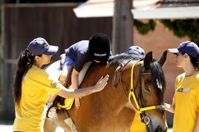 PORTO ALEGRE: Cavalo Amigo Equoterapia 