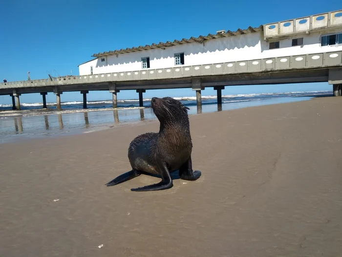 Marcelo Endres / Arquivo Pessoal