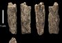 Menina que viveu há mais de 50 mil anos era fruto de espécies humanas distintas