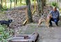 Cachorros passam dias trancados sem água e comida e vizinhos se mobilizam para resgatá-los
