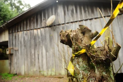  PICADA CAFÉ, RS, BRASIL, 08/08/2018. Casa onde o garçom Alexandro Grott, ou Alexandre Rogério Grott, 32 anos, desaparecido desde o dia 2 de junho, foi assassinado e teve o corpo carbonizado em Picada Café, na Serra Gaúcha. Os criminosos queimaram o corpo da vítima. Matéria sobre o avanço da criminalidade de facções para o interior gaúcho. (Diogo Sallaberry/Agência RBS)