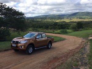 Priscila Nunes / Especial