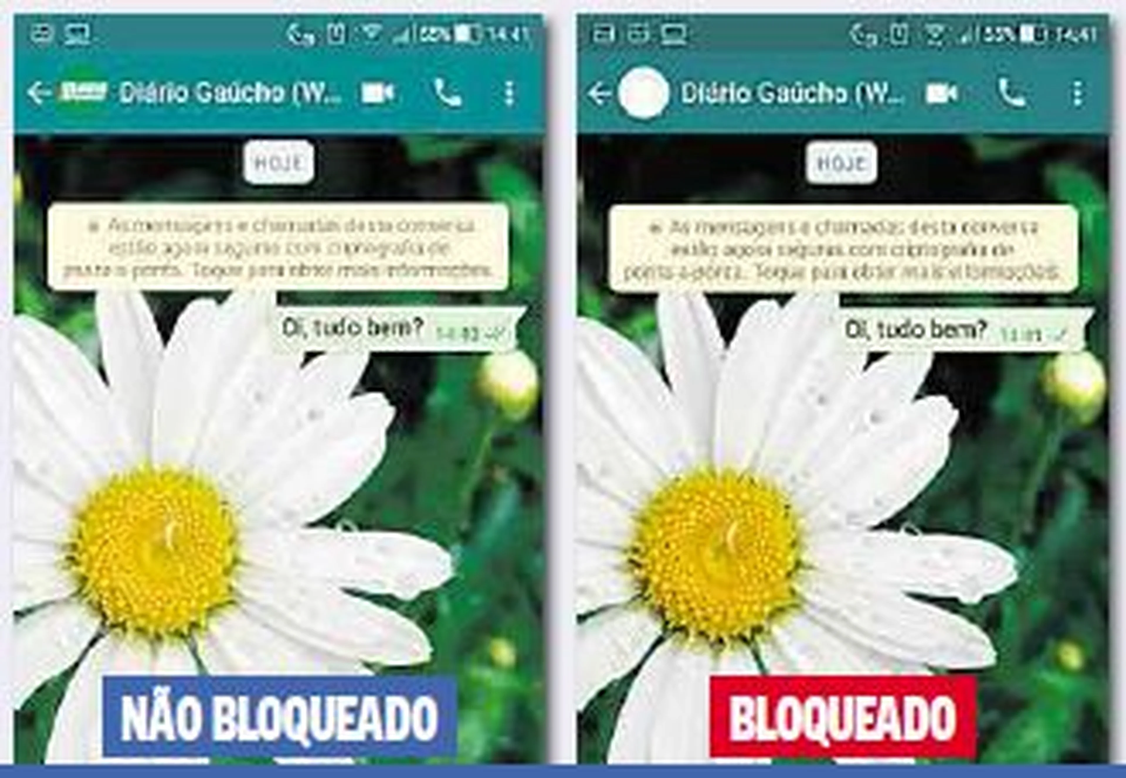 Reprodução/WhatsApp