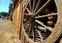 Acampamento Farroupilha 2019 terá cerca de 340 piquetes