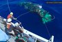 Foi lançado ao mar equipamento que promete limpar o oceano