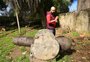 Museu de Porto Alegre guarda relíquias da Guerra dos Farrapos