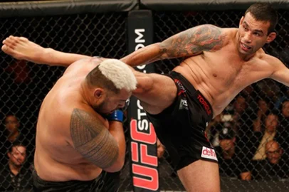 fabricio werdum campeão ufc