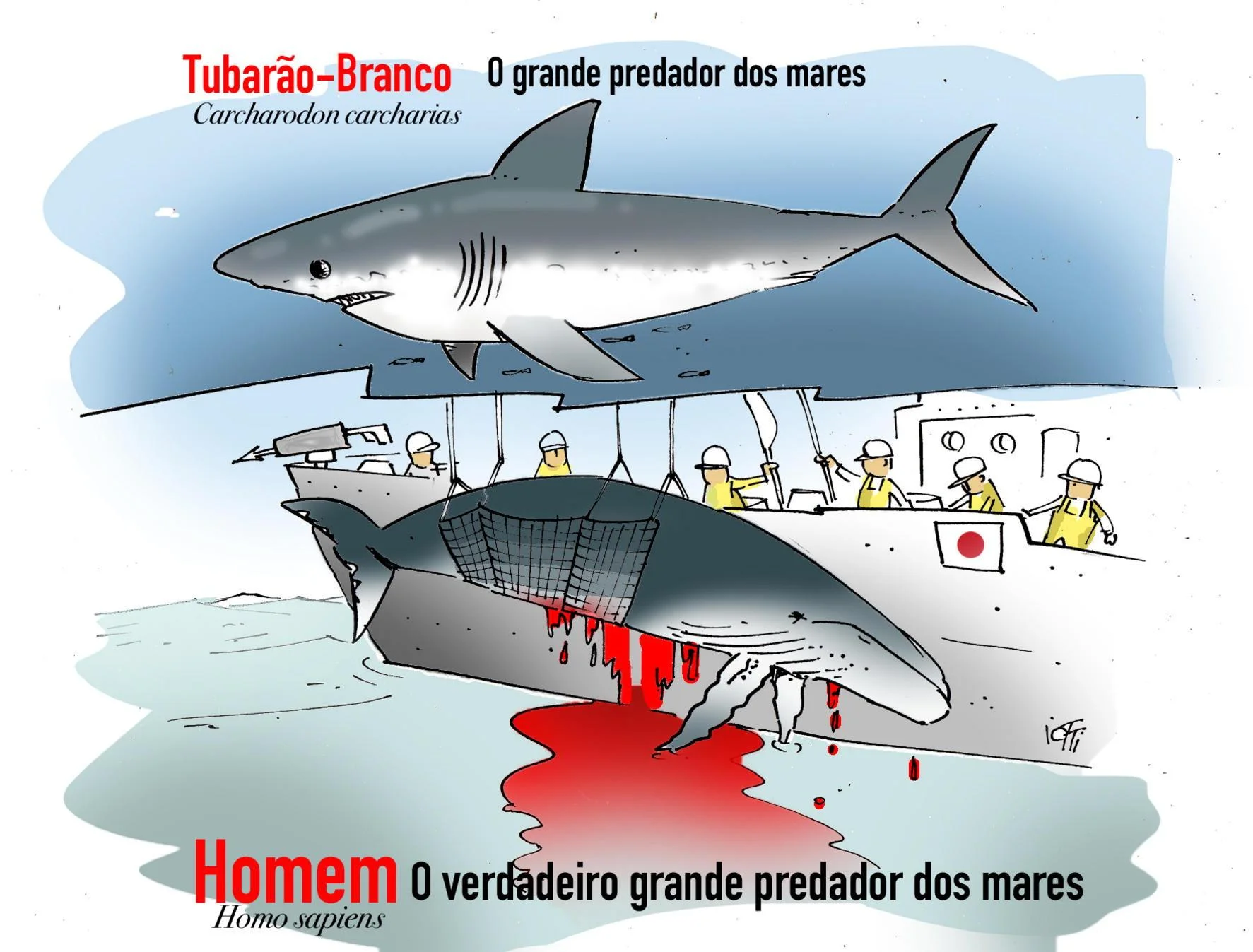 Iotti: animal racional | GZH