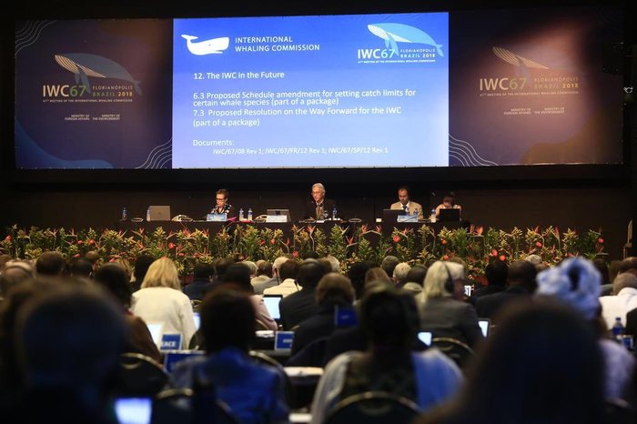 Felipe Carneiro / Diário Catarinense