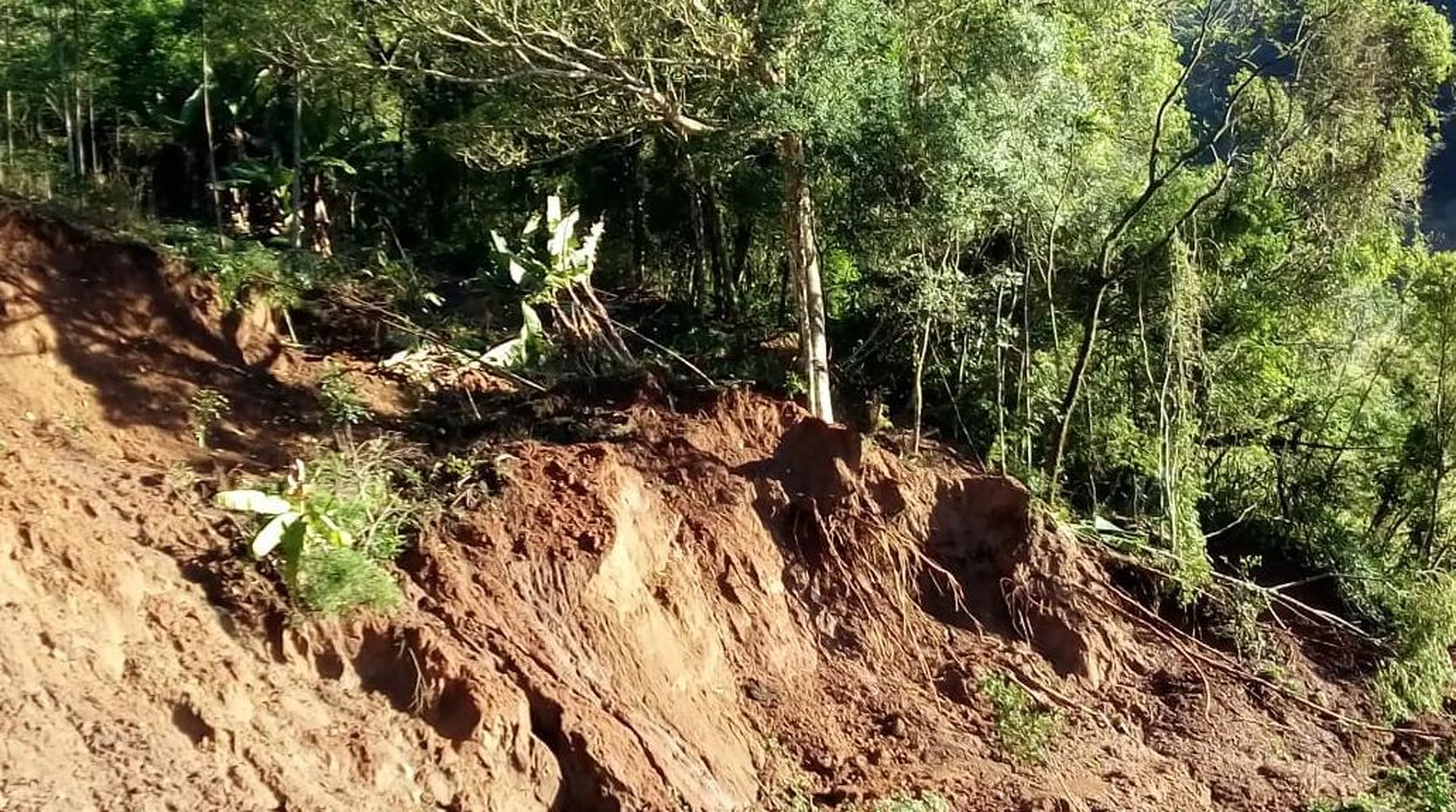 Arquivo Pessoal/Leitor DG