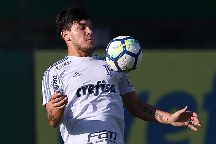 Divulgação / Palmeiras