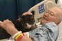  Gato ajuda idosos na recuperação do câncer