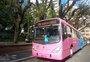 Ônibus da Carris muda de cor 